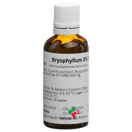 Weleda Bryophyllum D5/Conchae D7 aa dil 50 ml - PrimeCare Global